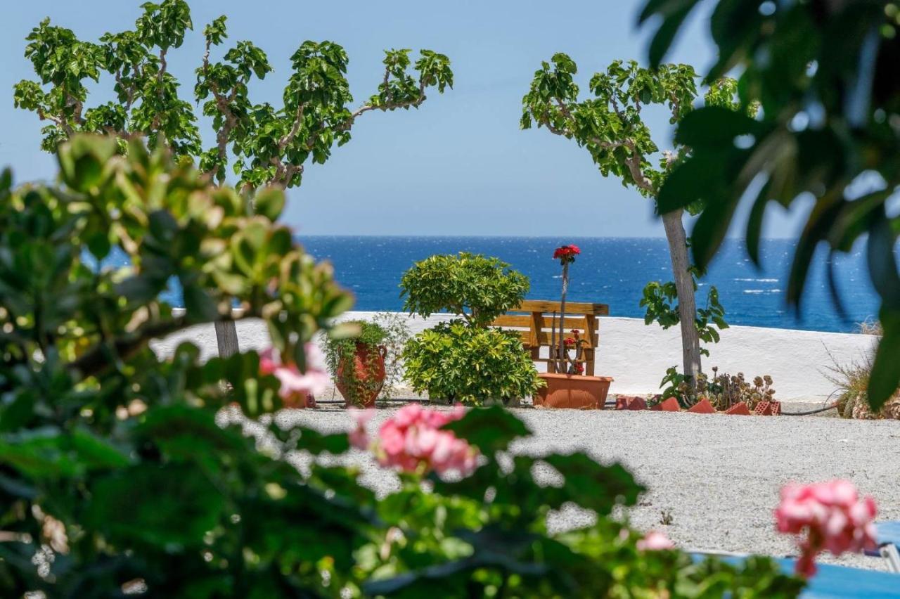 Creta Sun Μόχλος Εξωτερικό φωτογραφία